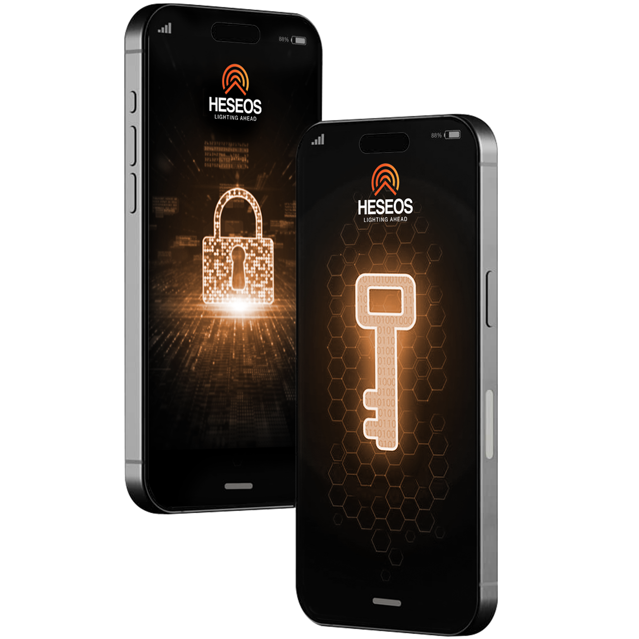 How Heseos Safeguard You Data